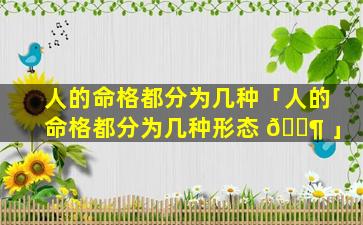 人的命格都分为几种「人的命格都分为几种形态 🐶 」